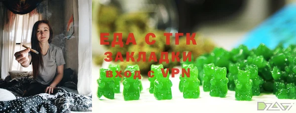 хмурый Мегион