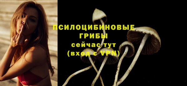 mdpv Медногорск