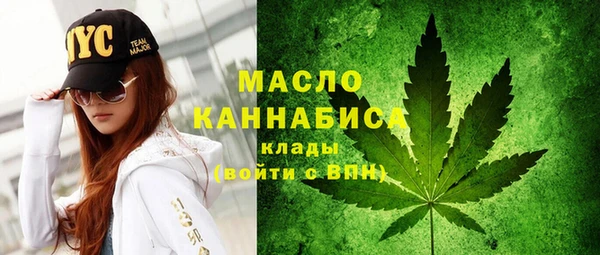 хмурый Мегион