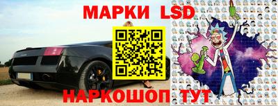 a pvp Кингисепп