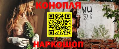 a pvp Кингисепп