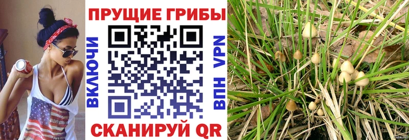 Галлюциногенные грибы мицелий  Нягань 