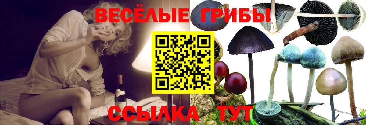 где купить   Галлюциногенные грибы GOLDEN TEACHER  Вход с VPN  Нягань 